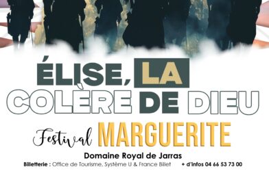 Spectacle nocturne à Aigues-Mortes